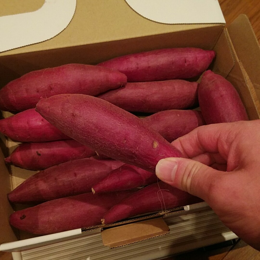 71 千葉県産　べにはるか　さつまいも　サツマイモ　約1.2㎏ 食品/飲料/酒の食品(野菜)の商品写真