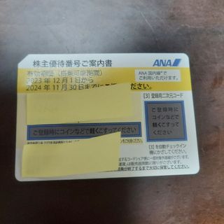 エーエヌエー(ゼンニッポンクウユ)(ANA(全日本空輸))の全日空　ANA　株主優待　1枚(航空券)