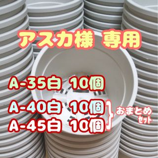 プラ鉢20個おまとめセット♪【A-40・A-45 各10個】他 プレステラ多肉(プランター)