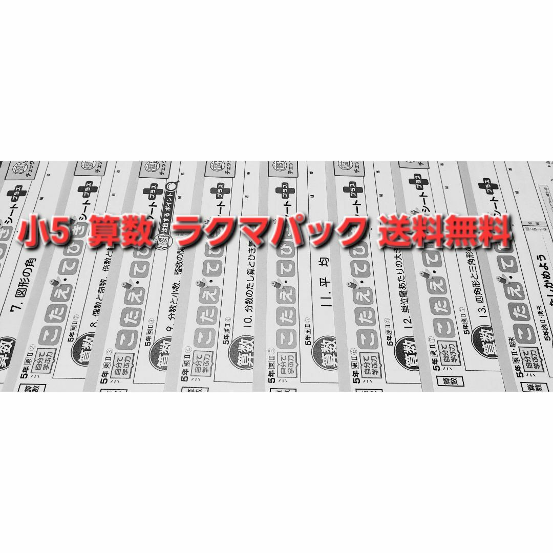 最新・算数小5テスト２０枚オマケつき！ぶんけい東京書籍ラクマパック送料無料 その他のその他(その他)の商品写真