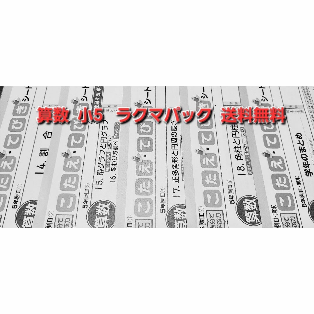 最新・算数小5テスト２０枚オマケつき！ぶんけい東京書籍ラクマパック送料無料 その他のその他(その他)の商品写真