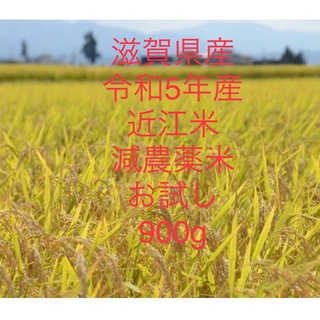 令和5年産　滋賀県産 近江米 玄米　減農薬栽培　900g(米/穀物)