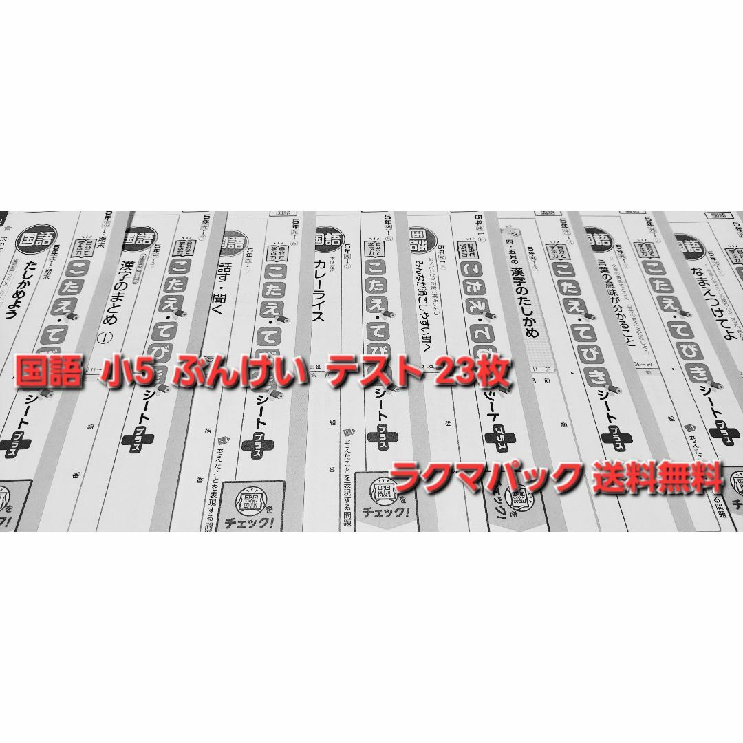 その他最新・国語小5ぶんけいテスト２３枚オマケつき！ラクマ送料無料