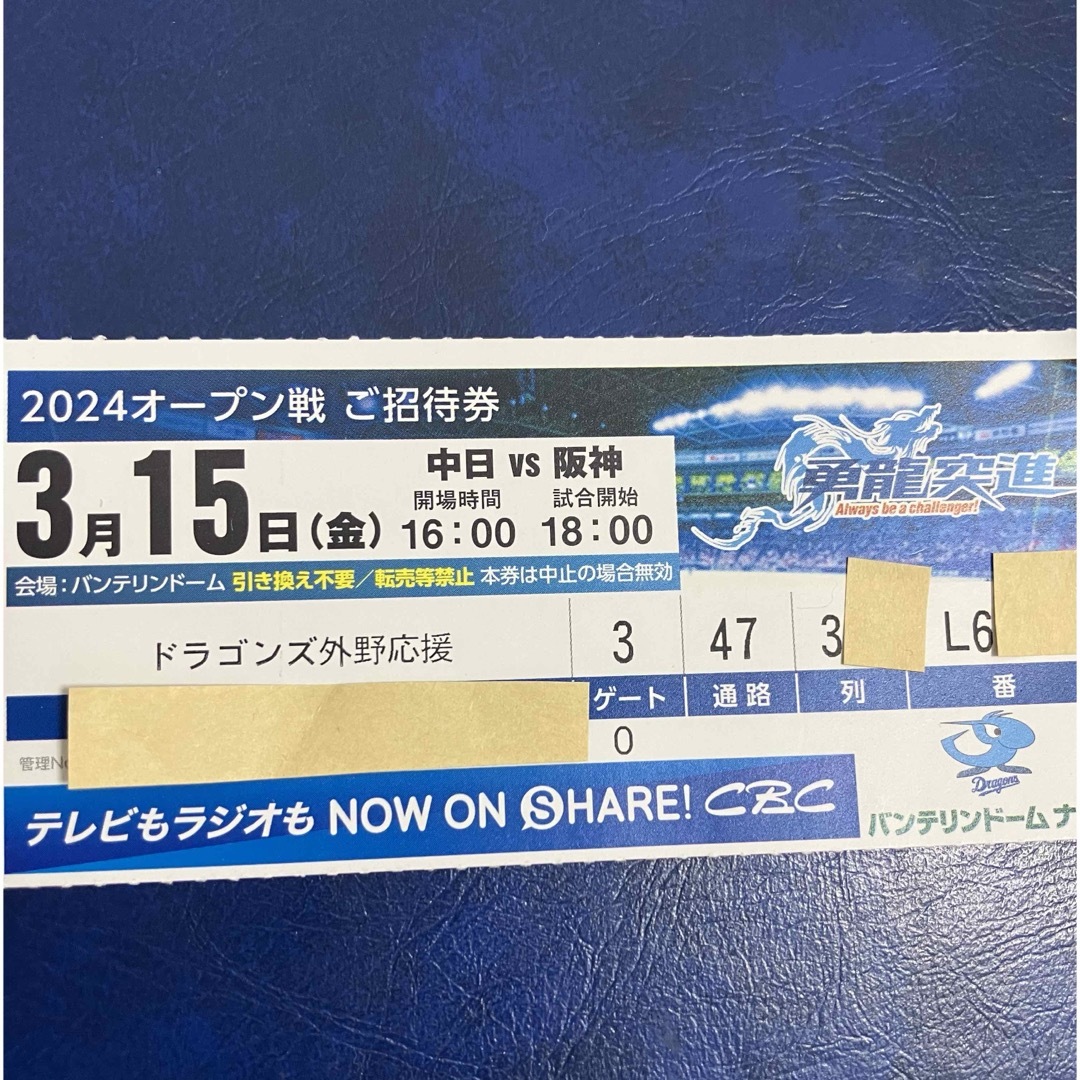 中日ドラゴンズ(チュウニチドラゴンズ)の3/15 中日vs阪神 レフトドラゴンズ応援席1枚 エンタメ/ホビーのエンタメ その他(その他)の商品写真