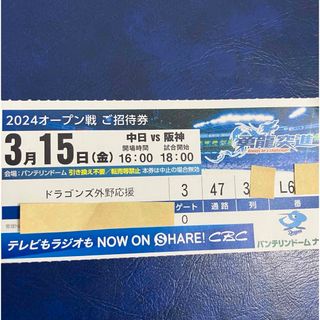 チュウニチドラゴンズ(中日ドラゴンズ)の3/15 中日vs阪神 レフトドラゴンズ応援席1枚(その他)