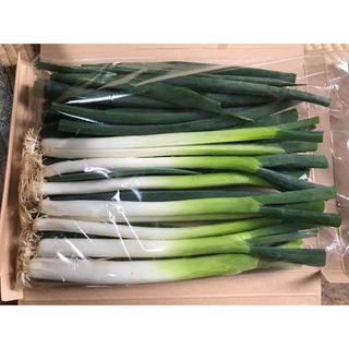 無農薬栽培　九条ねぎ400g②(野菜)