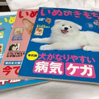 いぬのきもち　雑誌　3冊セット(その他)