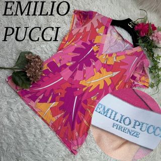 エミリオプッチ(EMILIO PUCCI)のエミリオプッチ レディース Lサイズ 半袖 Tシャツ カットソー 薄手 ピンク(Tシャツ(半袖/袖なし))