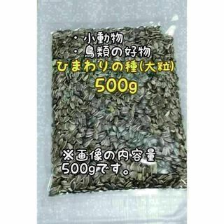 アメリカ産 ひまわりの種 500g 大粒 小動物 鳥類 ハムスターのおやつ(アクアリウム)