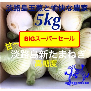 ＜BIGセール＞淡路島産新玉ねぎ 5kg 高糖度 新たまねぎ 新玉葱 新タマネギ(野菜)