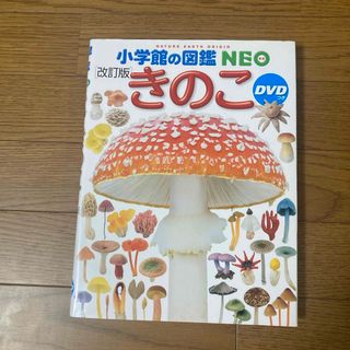 ショウガクカン(小学館)のきのこ　DVDなし(絵本/児童書)