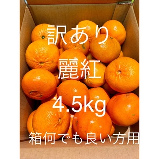 最終　訳あり麗紅 SS 4.5kg 有田みかん　超ミニ　せとか姉妹品種(フルーツ)