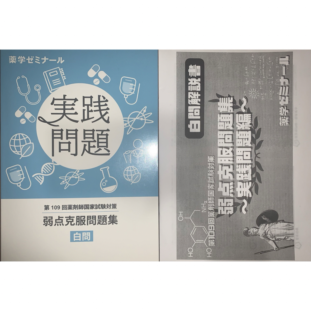 第109回薬剤師国家試験対策 薬ゼミ 薬学ゼミナール 実践白問 弱点克服問題集 エンタメ/ホビーの本(資格/検定)の商品写真