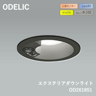 オーデリック　エクステリアライト 【OD 261 851】【OD261851】(天井照明)