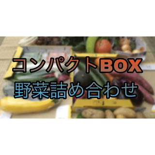 【お試しに！】茨城県産　野菜　野菜ボックス　コンパクト(野菜)