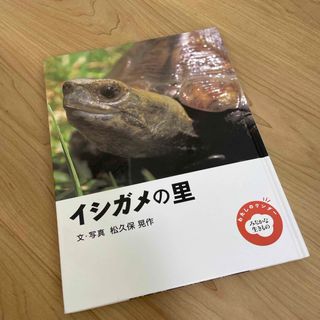 「イシガメの里」 松久保 晃作(絵本/児童書)