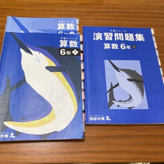 専用！予習シリーズ難関校対策　演習問題集　6年上(語学/参考書)