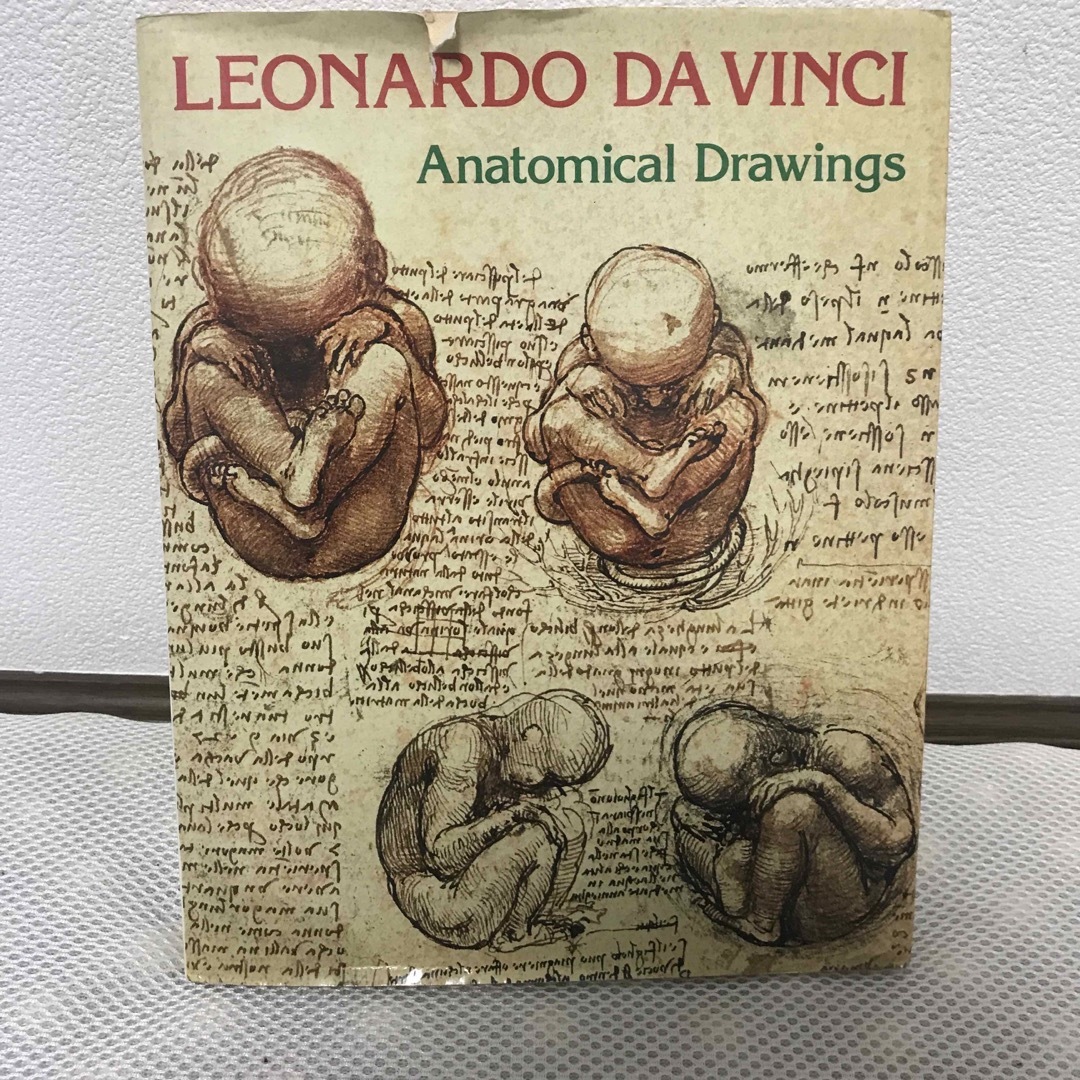 LEONARD DAVINCI Anatomical Drawings エンタメ/ホビーの本(洋書)の商品写真