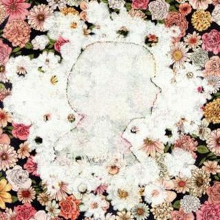 Ｆｌｏｗｅｒｗａｌｌ(ボーカロイド)