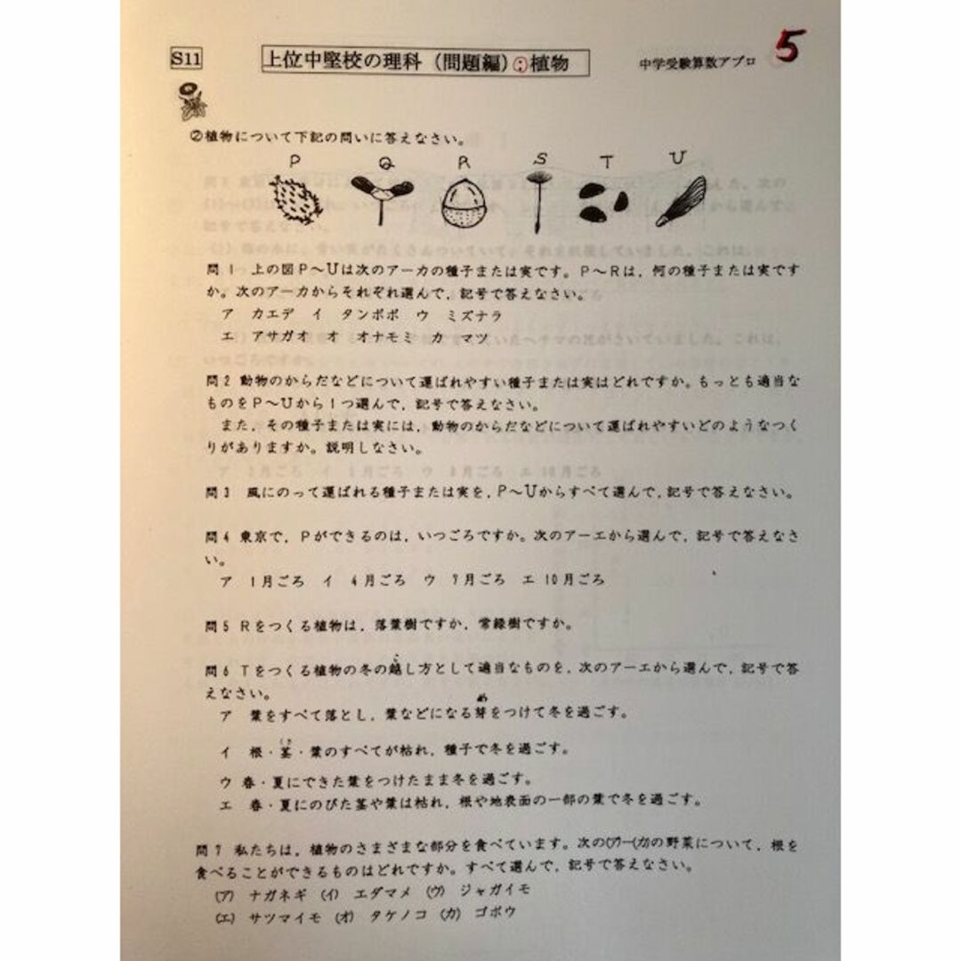 巣鴨中学校　2025年新合格への算数と分析理科プリント●算数予想問題付き その他のその他(その他)の商品写真