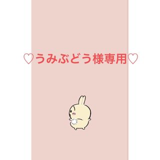 チイカワ(ちいかわ)の♡うみぶどう様専用♡(その他)