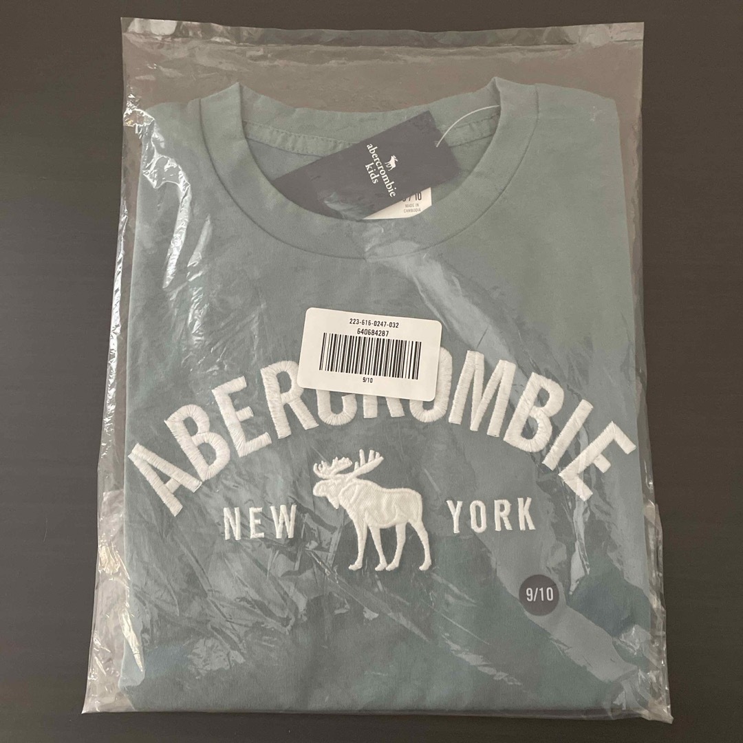 Abercrombie&Fitch(アバクロンビーアンドフィッチ)のabercrombie kids 9/10 Tシャツ キッズ/ベビー/マタニティのキッズ服男の子用(90cm~)(Tシャツ/カットソー)の商品写真