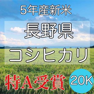 【令和5年産】長野県コシヒカリ20キロ白米 (米/穀物)