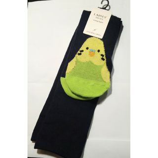 セキセイインコ★長靴下 ロング ハイソックス 緑グリーン 紺色 タグ付き(ソックス)