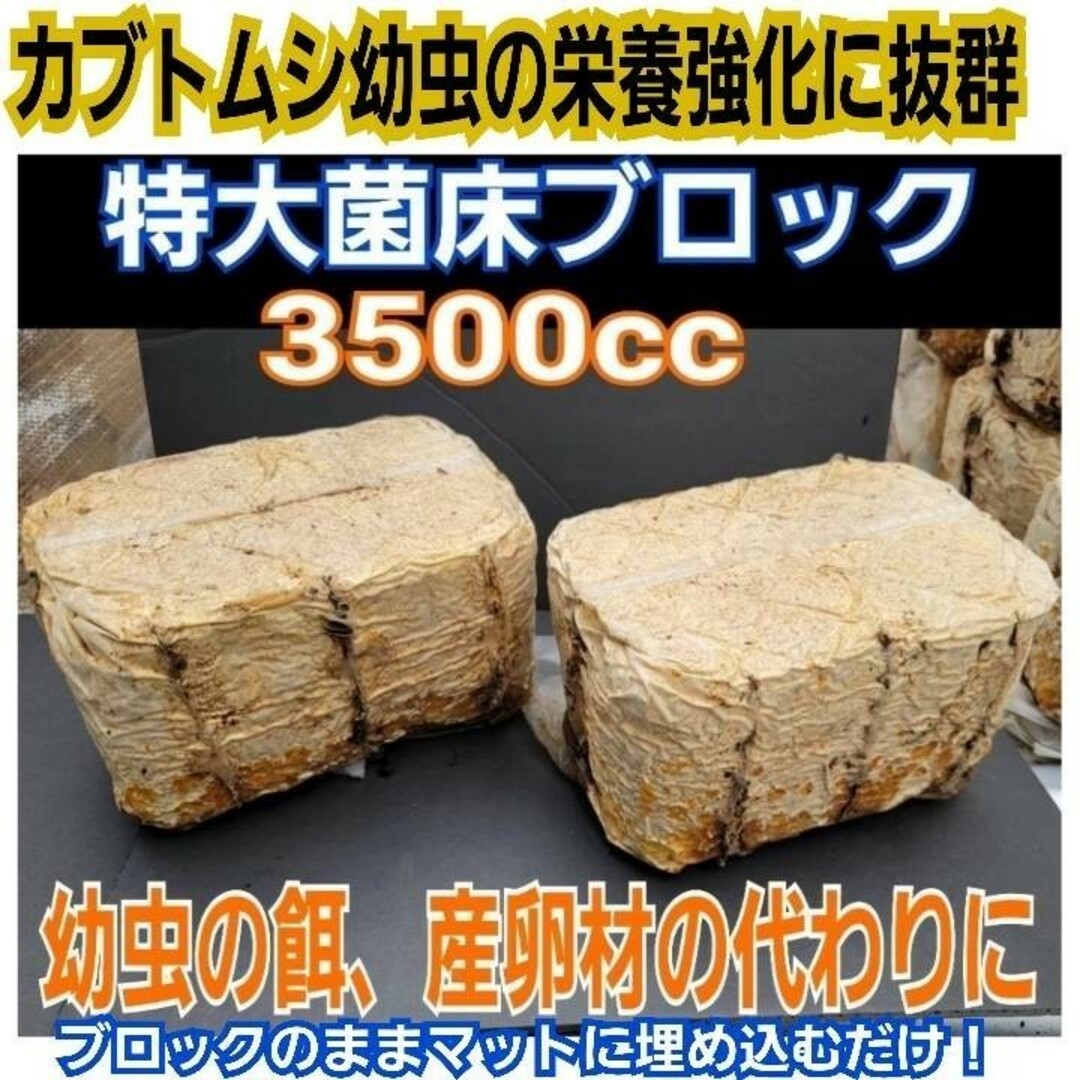 キクラゲ菌床【4ブロック】クワガタの産卵に！発酵マットに埋め込カブト幼虫の餌に その他のペット用品(虫類)の商品写真