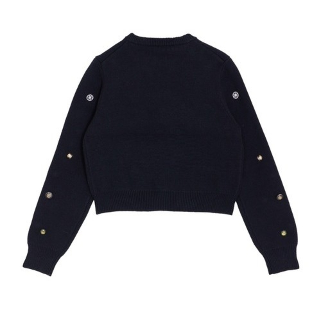 Ameri VINTAGE(アメリヴィンテージ)のAMERI TWINKLE BIJOU SHORT KNIT TOP レディースのトップス(ニット/セーター)の商品写真