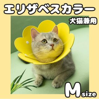 エリザベスカラー 猫 犬 ペット用品 傷舐め防止 引っ掻き防止 M 傷口保護(猫)