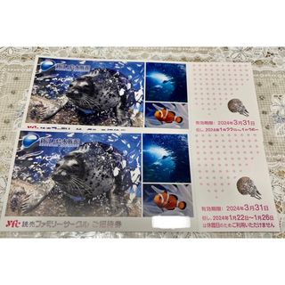 新江ノ島水族館　招待券　入場券　入園券(水族館)