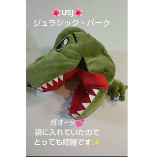 ユニバーサルスタジオジャパン(USJ)の♡USJジュラシック・パークかぶりもの♡(その他)