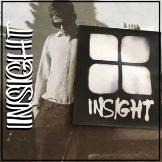 インサイト(INSIGHT)のinsightインサイトUS限定アイコンロゴデザインステッカー(その他)