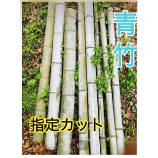 青竹 竹細工 指定カット(その他)