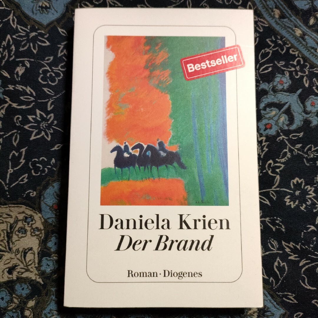 Daniela Krien Der Brand ドイツ語　ダニエラ・クリーン エンタメ/ホビーの本(洋書)の商品写真