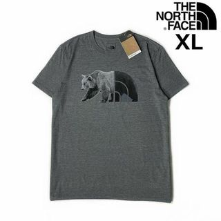 ザノースフェイス(THE NORTH FACE)のノースフェイス 半袖 Tシャツ 熊 ビッグロゴ (XL)グレー 180902(Tシャツ/カットソー(半袖/袖なし))