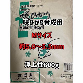 咲ひかり育成用　浮上性　800g(ペットフード)