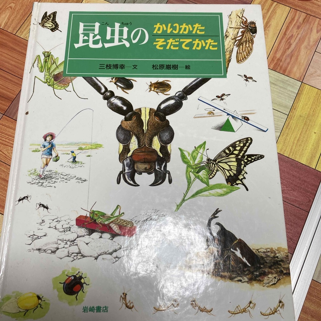 昆虫のかいかたそだてかた エンタメ/ホビーの本(絵本/児童書)の商品写真