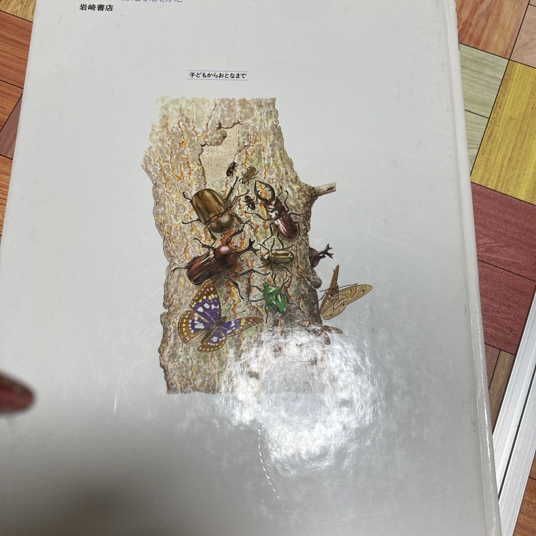 昆虫のかいかたそだてかた エンタメ/ホビーの本(絵本/児童書)の商品写真