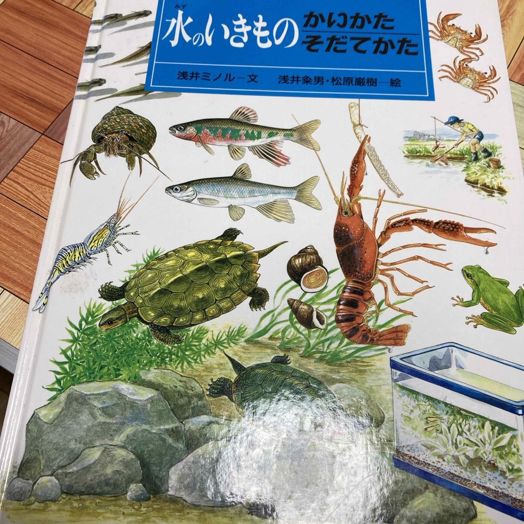 水のいきものかいかたそだてかた エンタメ/ホビーの本(絵本/児童書)の商品写真