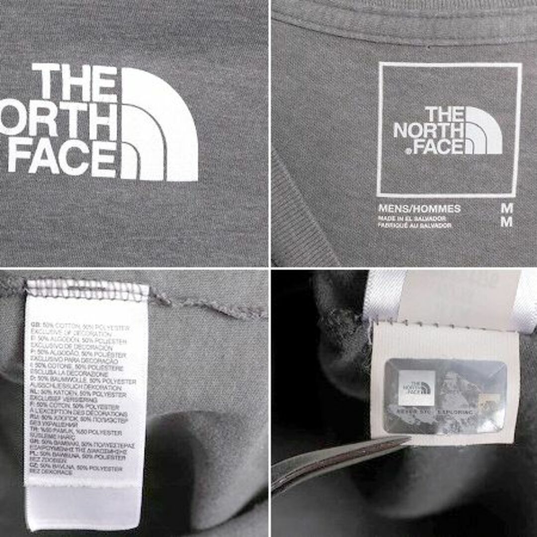 THE NORTH FACE(ザノースフェイス)のノースフェイス 両面 プリント 長袖 Tシャツ メンズ M The North Face アウトドア ロンT プリントT ロゴT バックプリント クルーネック 灰 メンズのトップス(Tシャツ/カットソー(七分/長袖))の商品写真