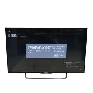 SONY - 《ゆうひ様専用》SONY WEGA液晶デジタルテレビ KDL-S19A10の