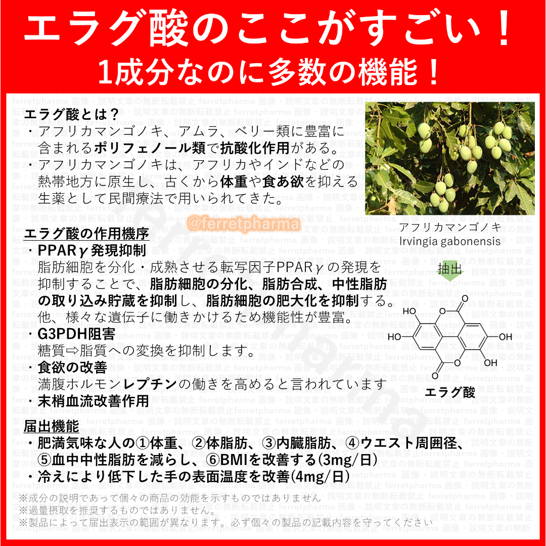 DUEN 機能性表示食品 体脂ガードα 60粒 30日分 1袋 エンタメ/ホビーのエンタメ その他(その他)の商品写真