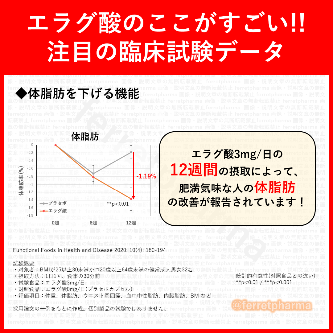 DUEN 機能性表示食品 体脂ガードα 60粒 30日分 1袋 エンタメ/ホビーのエンタメ その他(その他)の商品写真