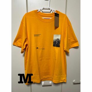 ザノースフェイス(THE NORTH FACE)の新品　ノースフェイス　Tシャツ　NT32339 サミットゴールド　メンズ　M(Tシャツ/カットソー(半袖/袖なし))
