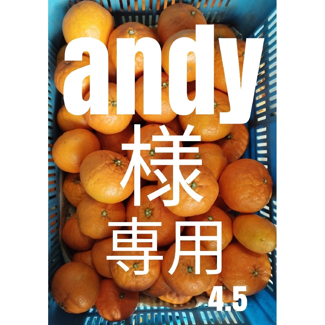 andy様専用 食品/飲料/酒の食品(フルーツ)の商品写真