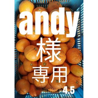 andy様専用(フルーツ)