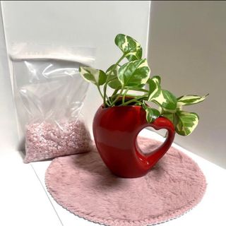 おしゃれ　花瓶　陶器　植木鉢　ハート型　　　　　　　　　　　　【ポトス観葉植物】(花瓶)