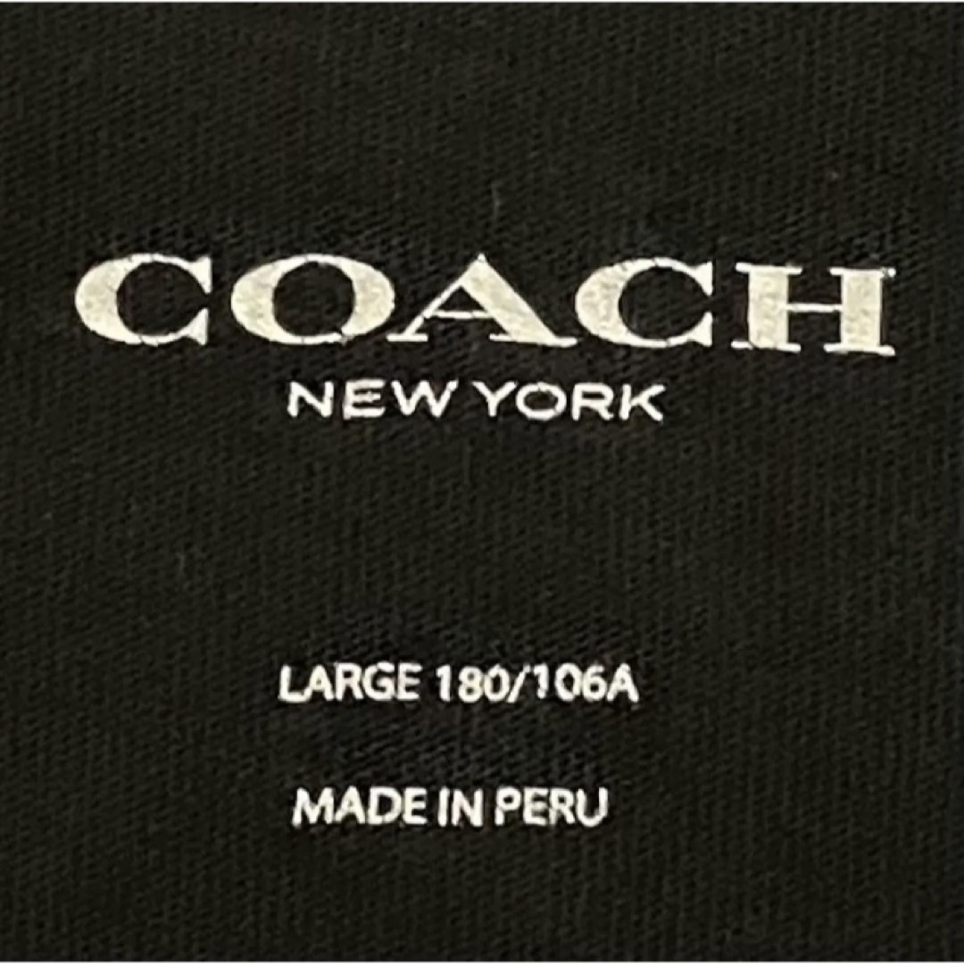 COACH(コーチ)の【人気】COACH　コーチ　ロゴTシャツ　半袖Tシャツ　シグネチャー　モノグラム メンズのトップス(Tシャツ/カットソー(半袖/袖なし))の商品写真